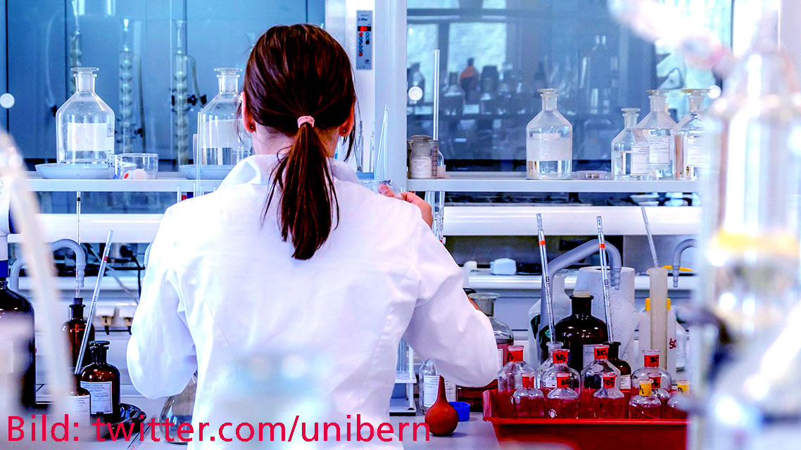 Lehre im Format der Forschung