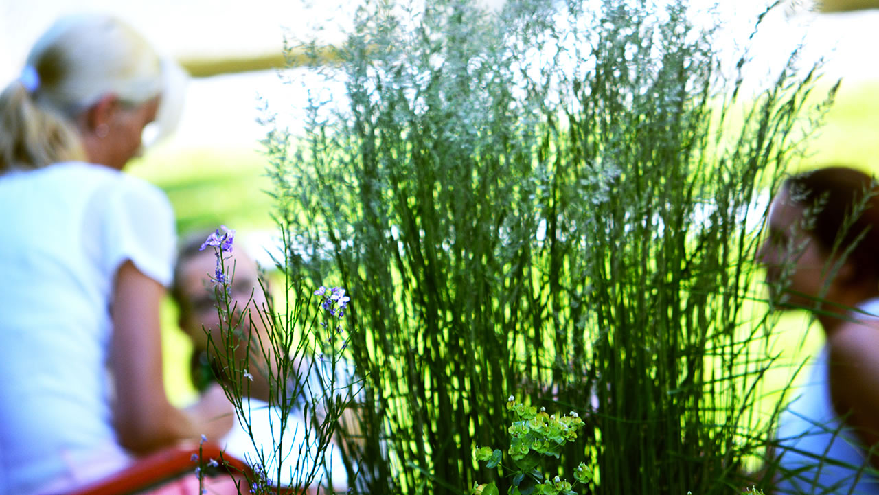 Richtig Rückmeldung geben